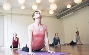 Yoga & Ayurveda Shelby Mcdermot 