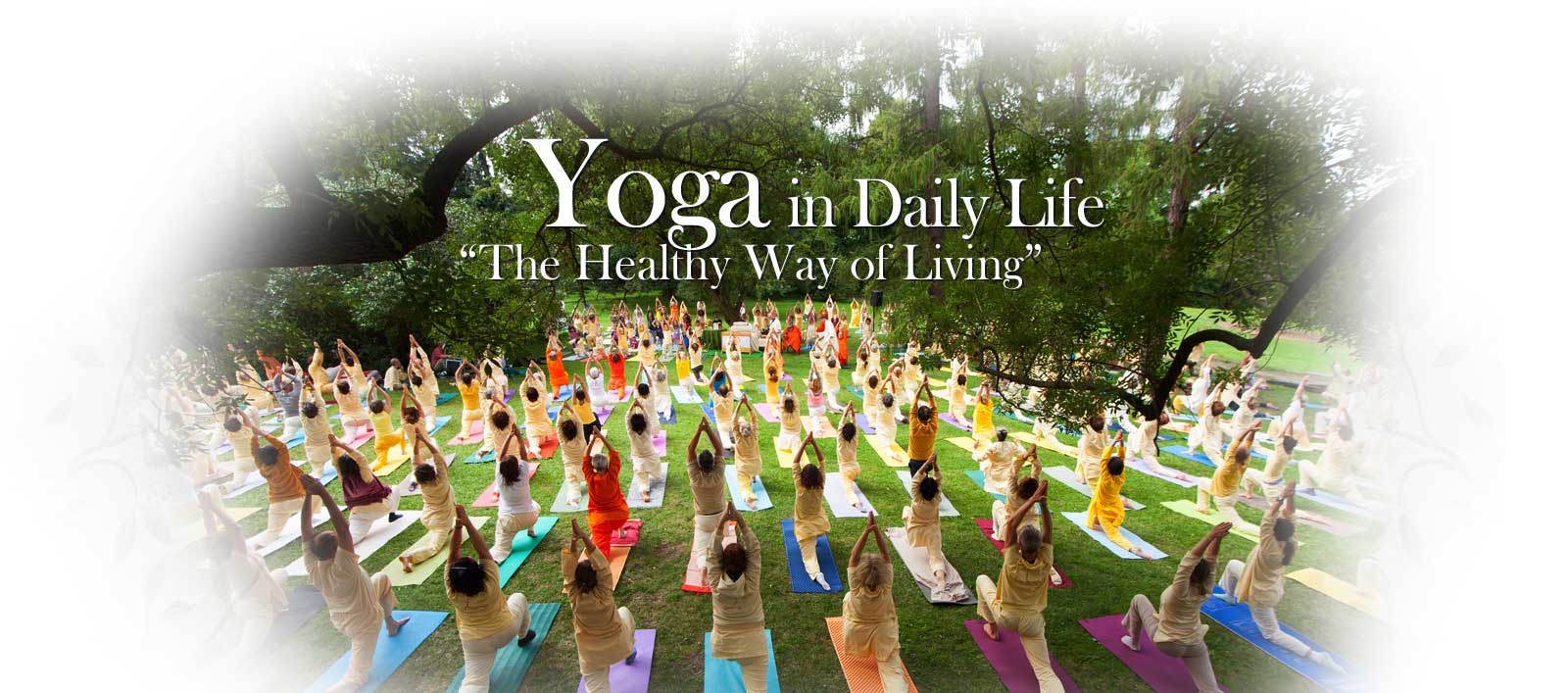 Yoga In Daily Life Buford