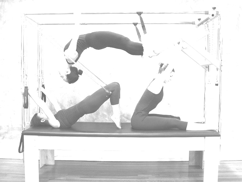 Essence Of Motion Pilates And Yoga Wellness Studio United States