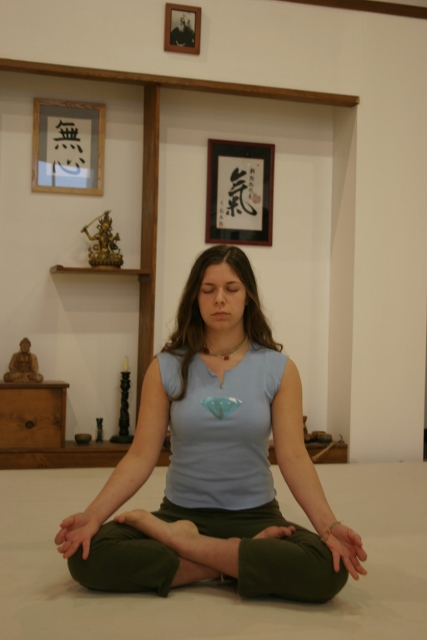 Ann Arbor Yoga &amp; Meditation