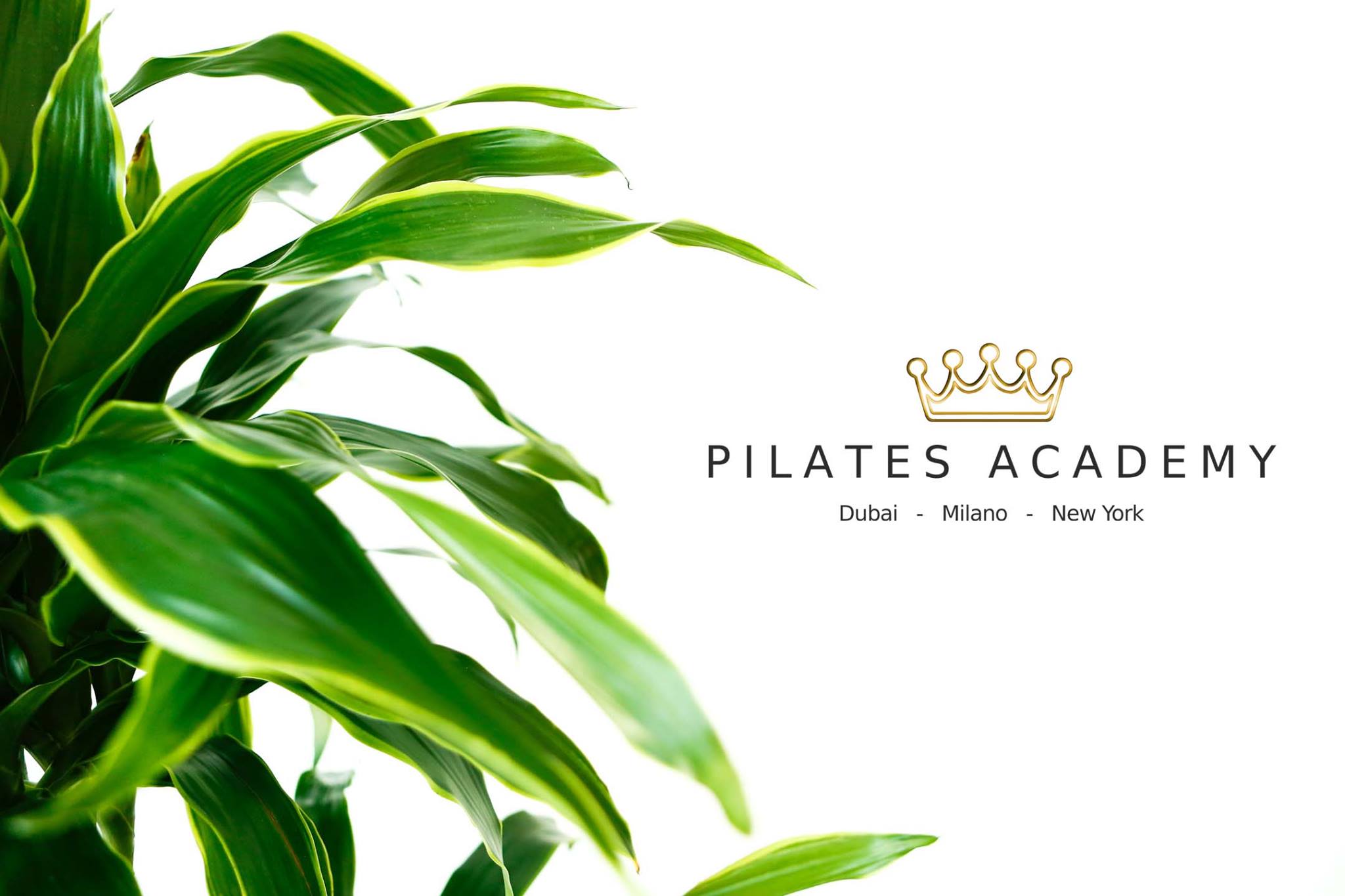 Pilates Academy 