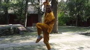 SHAOLINSINDIA Kung Fu School India