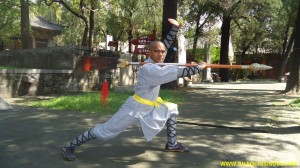 SHAOLINSINDIA Kung Fu School