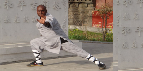 Shaolin Tai Chi Kung-fu 