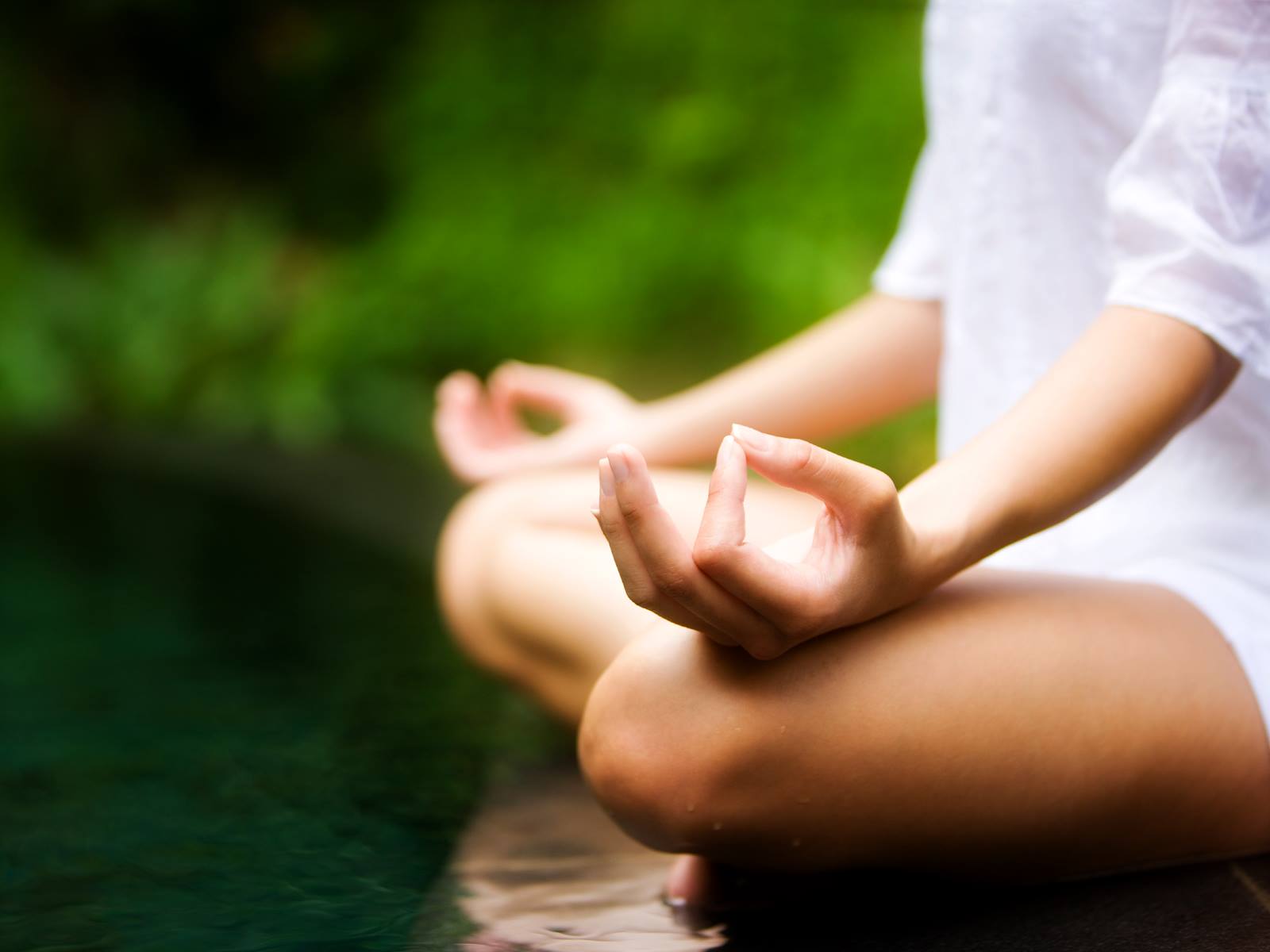 The Mindfulness Yoga Center 