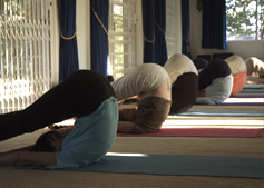 Sivananda School Of Yoga