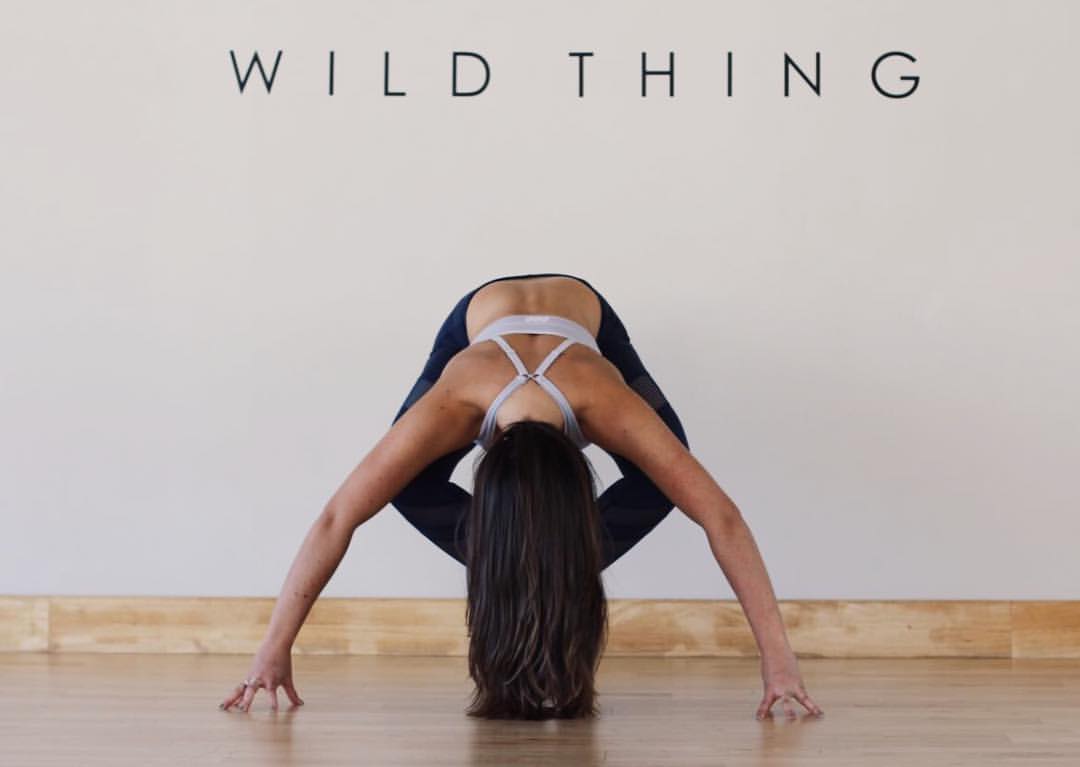 Wild Thing Yoga Studio 