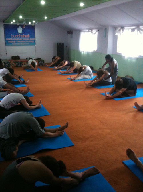 Hatha Yoga World Dharamshala - BalanceGurus