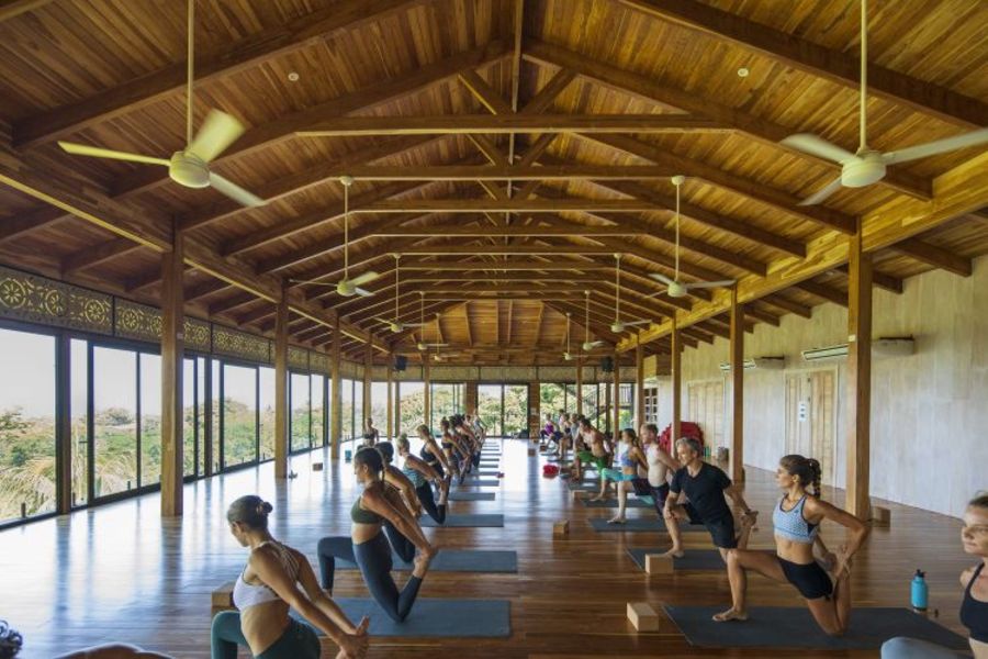 Bodhi Tree Yoga Resort 