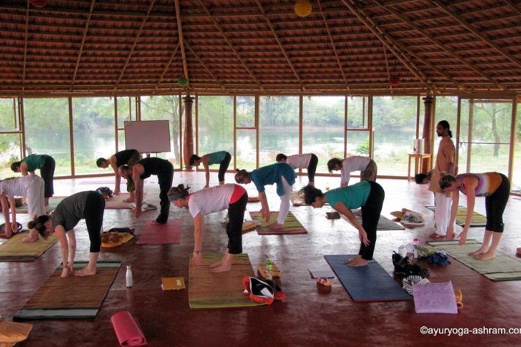 AyurYoga Eco Ashram 