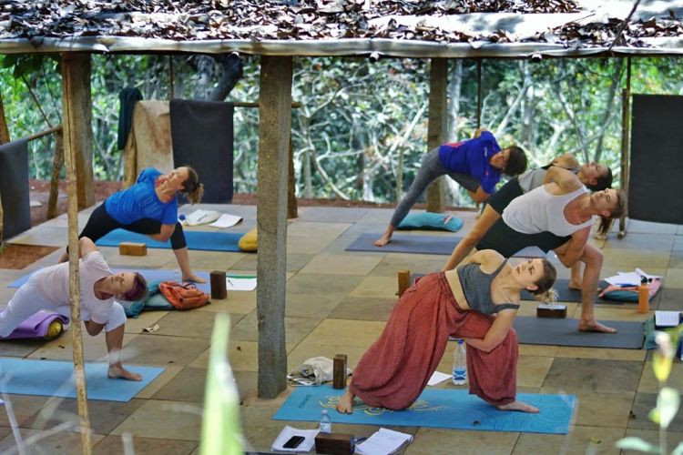 Tapas Yoga Goa Image