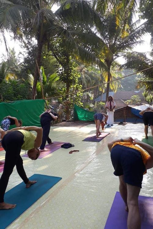 Aranya Yoga Aashram India