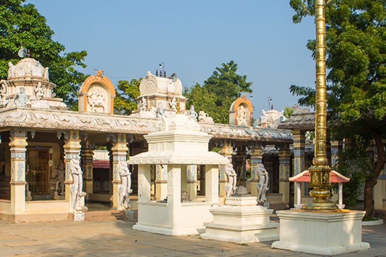 Sivananda Yoga Vedanta Centre-Madurai India