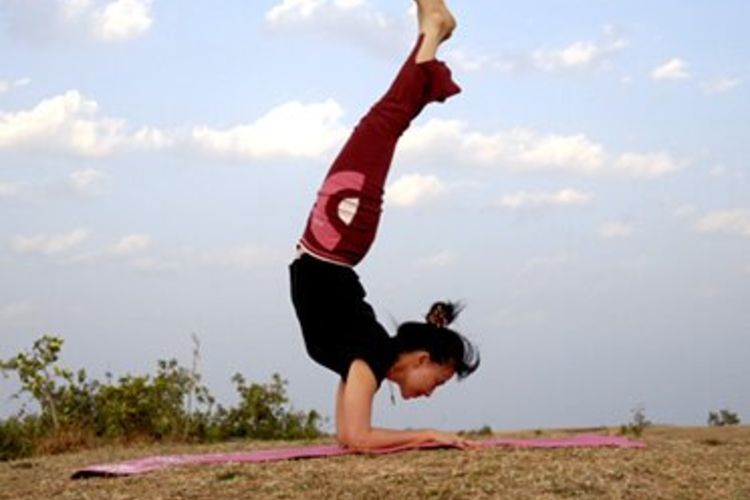 Yoga Vidya Gurukul Nasik