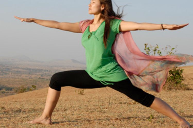 Yoga Vidya Gurukul 