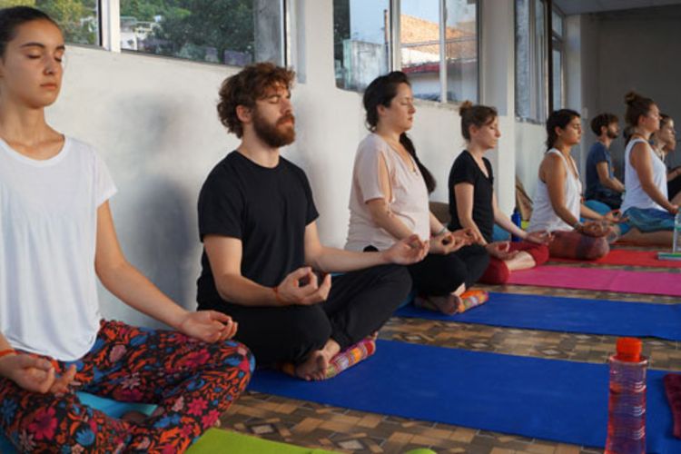 Vinyasa Yoga Academy 