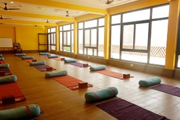 Vinyasa Yoga Academy Rishikesh