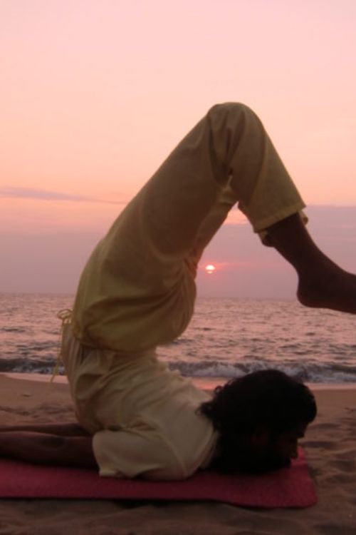 Aarsha Yoga Vidya Peetham 