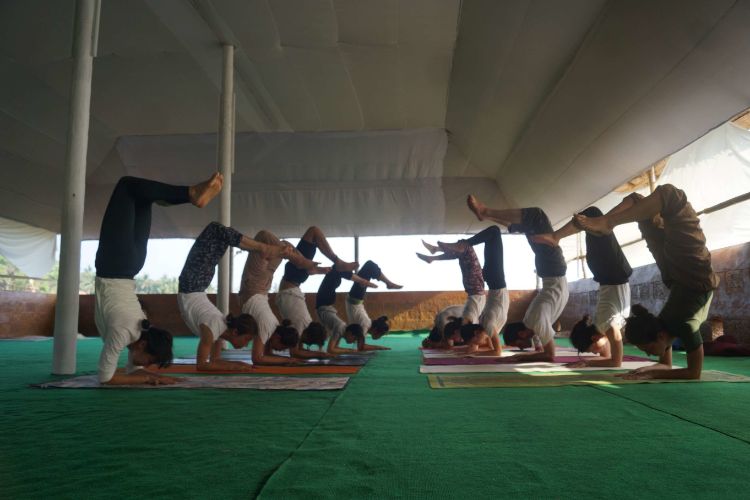 Aarsha Yoga Vidya Peetham 