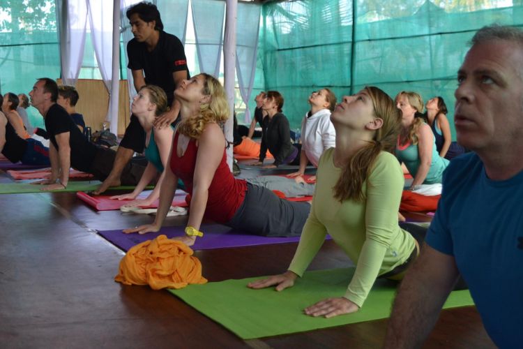 Upaya Yoga Centre Goa India