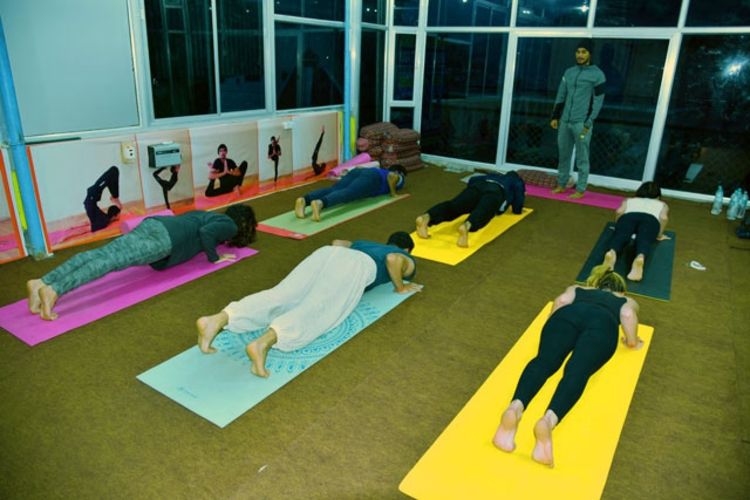Hatha Yoga School 