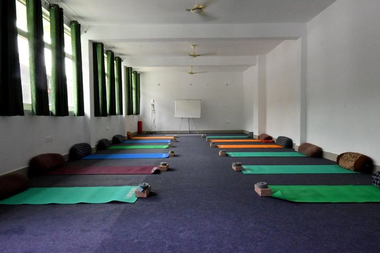 Anadi Yoga Centre, Rishikesh