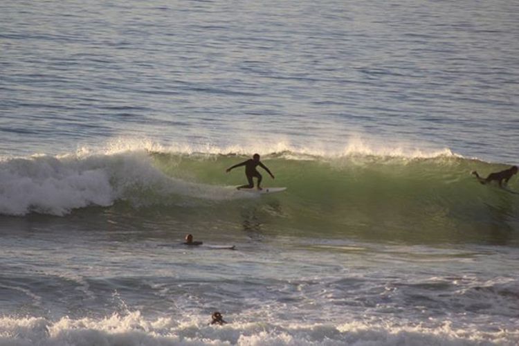 Easy Surf Maroc 