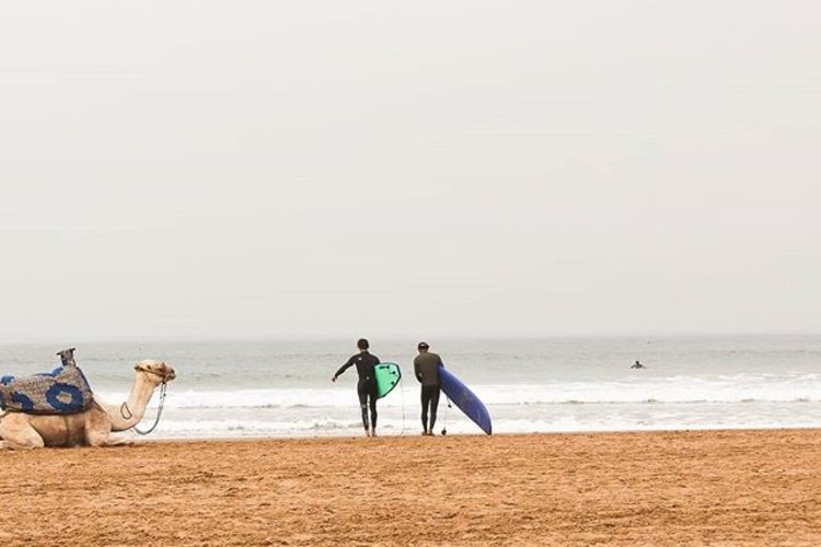 Hola Surf Morocco Image