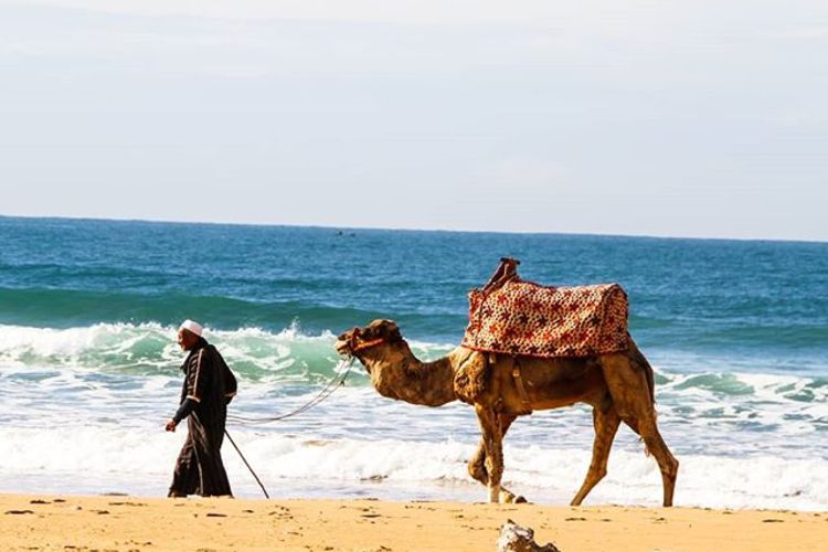 Hola Surf Morocco 
