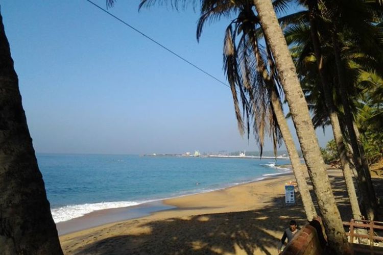 Medicus Ayurbay Beach Resort India