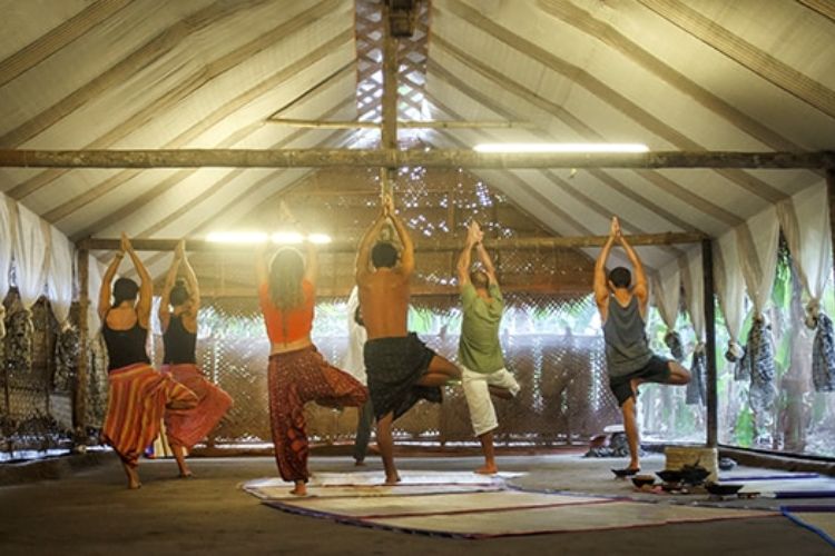 Agnihotra Yoga Retreat Varkala Image