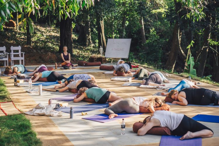 Yin Yoga Therapy Training-Goa 