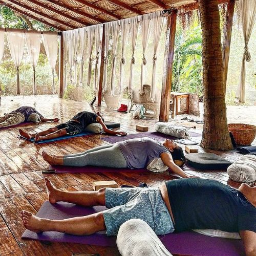 Yin Yoga Therapy Training-Goa