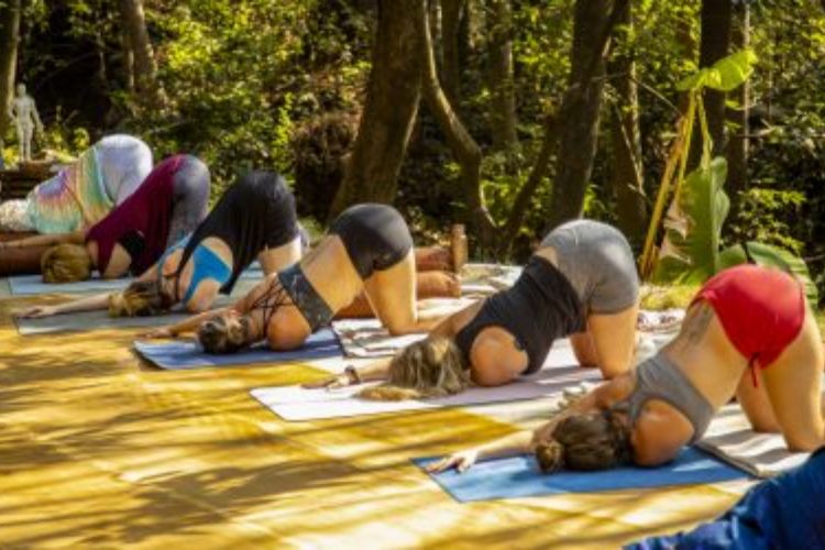 Yin Yoga Therapy Training-Goa