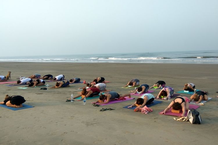 Mantra Yoga School Arambol Goa Arambol