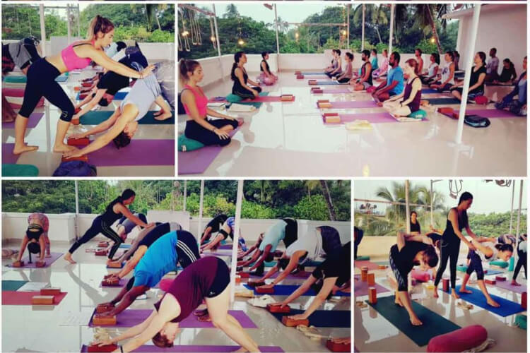 MYT Yoga-Goa