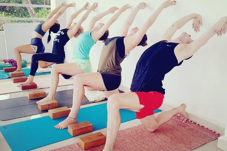 MYT Yoga-Goa Image