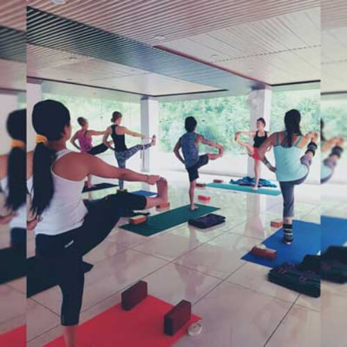 MYT Yoga-Goa India