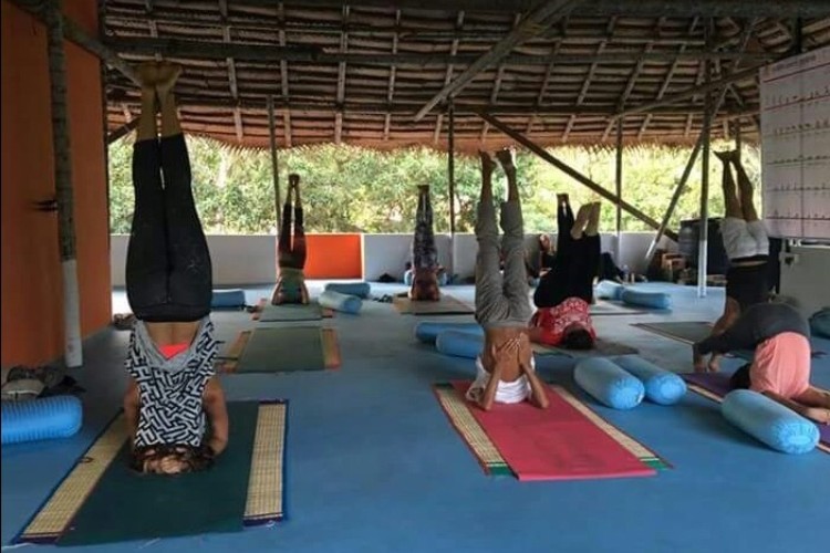 Vrinda School Of Yoga Varkala