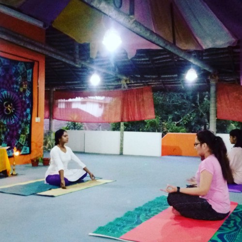 Vrinda School Of Yoga India