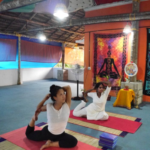 Vrinda School Of Yoga 