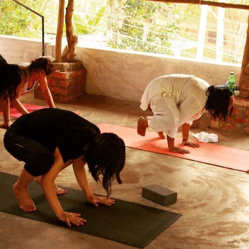 Gurukul Yoga
