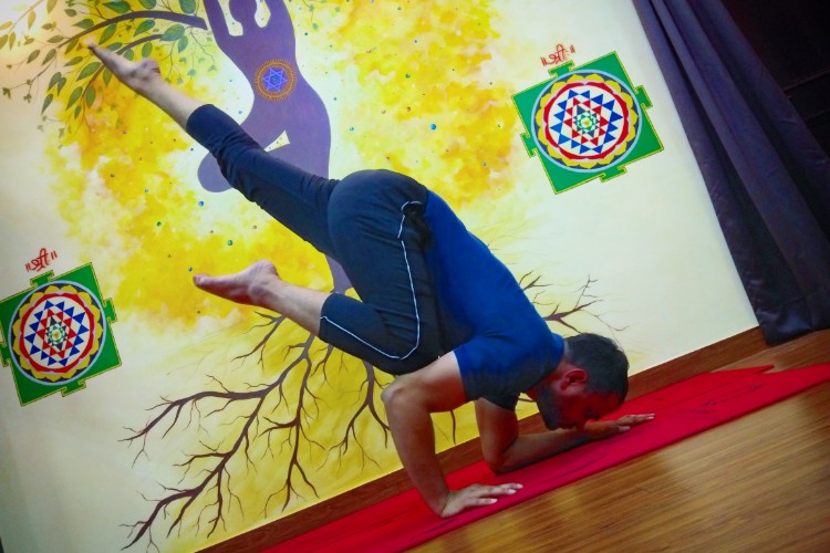 Yoga And Meditation Classes By Sadhak Anshit 