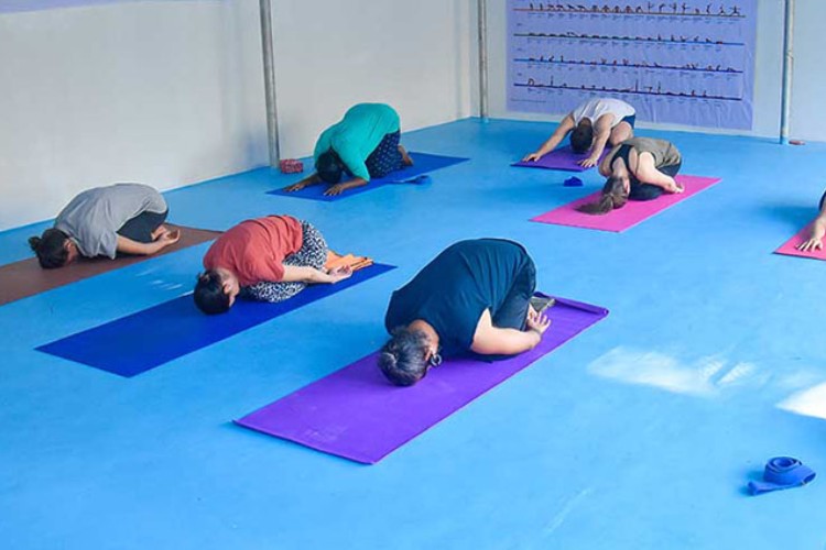 Chandra School of Yoga 