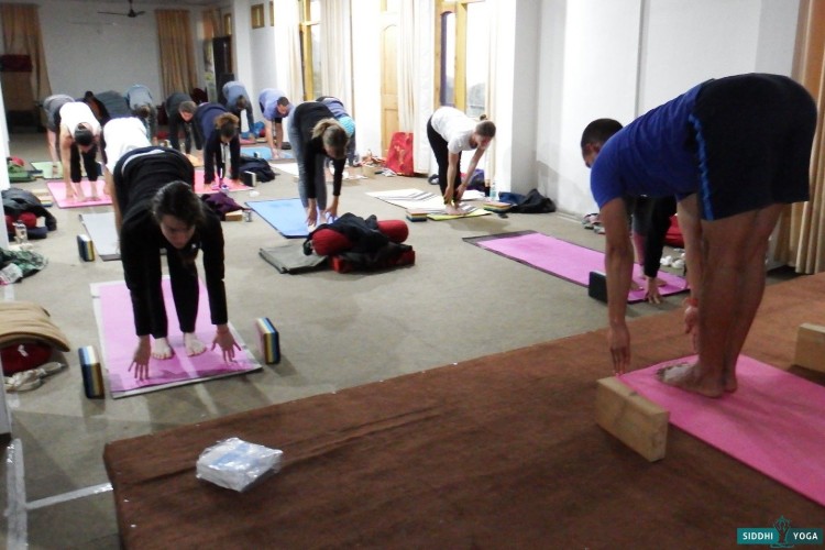 Siddhi Yoga-Dharamsala 