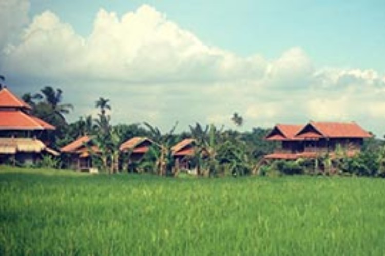 Bali Silent Retreat 