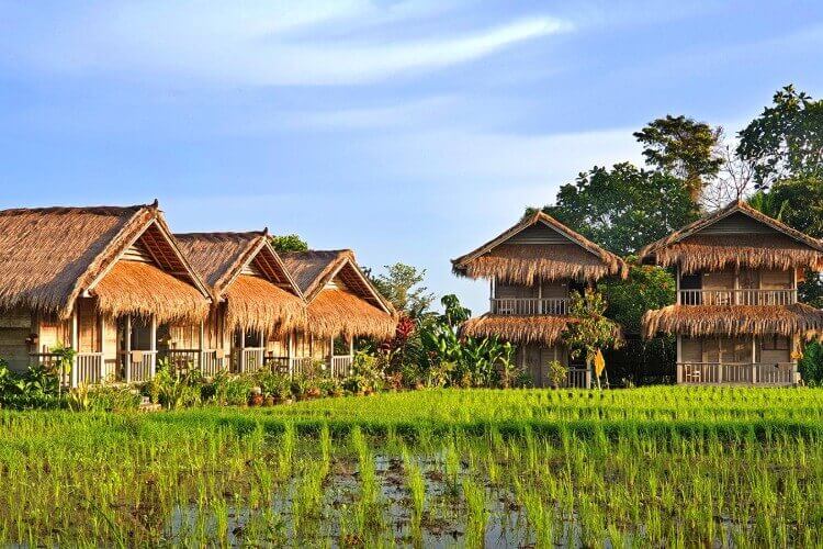 Bali Silent Retreat Indonesia