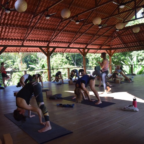 Caribe Yoga Academy