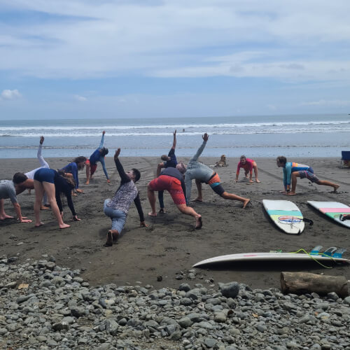 Surf Synergy Academy and Resort Costa Rica