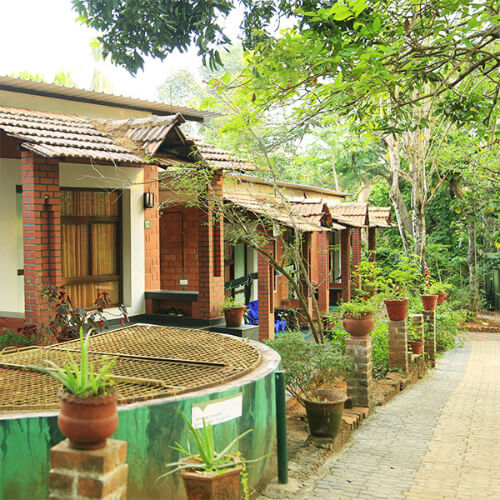 Itoozhi Namboothiri's Ayurveda Nursing Home